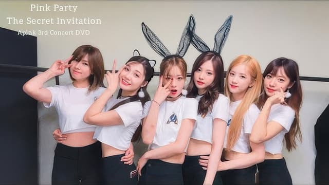Apink 3rd Concert "Pink Party"