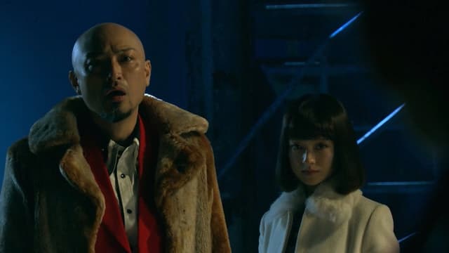 新・ミナミの帝王～美人詐欺師の罠～
