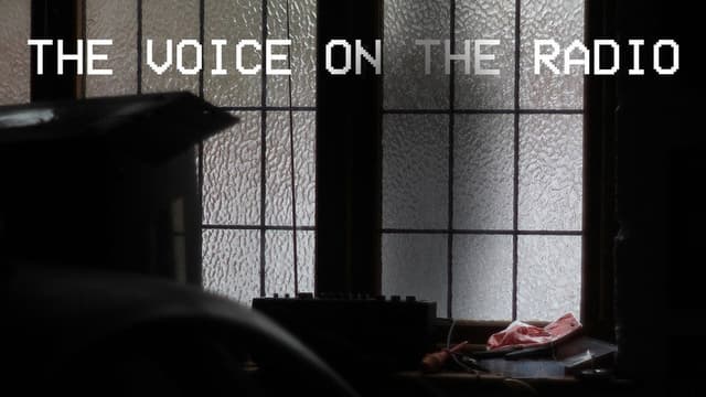The Voice on The Radio