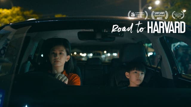 Road to Harvard