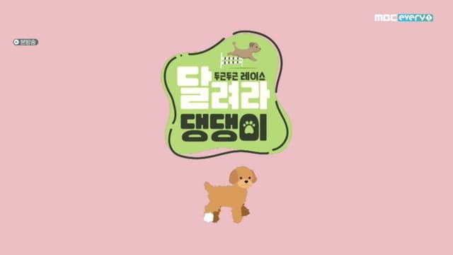 달려라 댕댕이