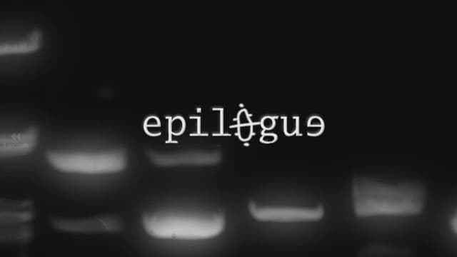 Epilogue