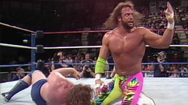 WWE SuperTape: Volume 2