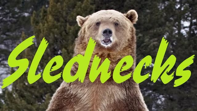Slednecks