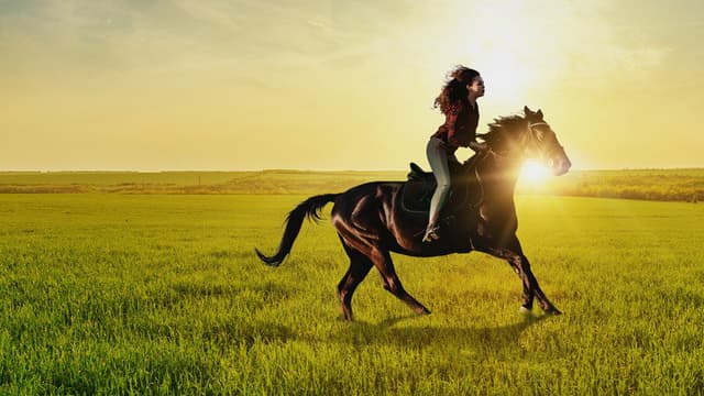 If I Could Ride