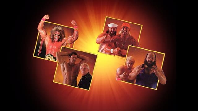 WWE SummerSlam 1990