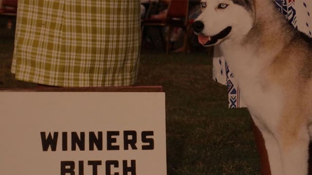 Winners Bitch