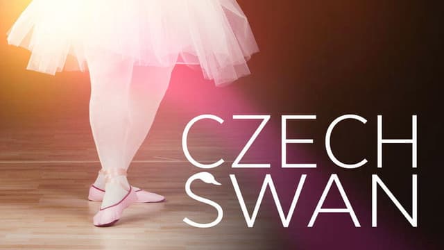 Czech Swan