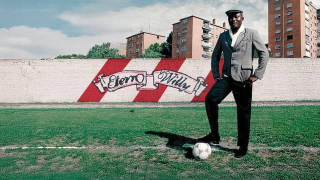 Informe Plus+. Eterno Wilfred