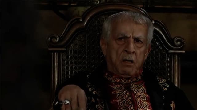 Bilad aleuzi