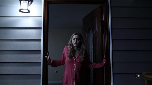 The Girl We Let In