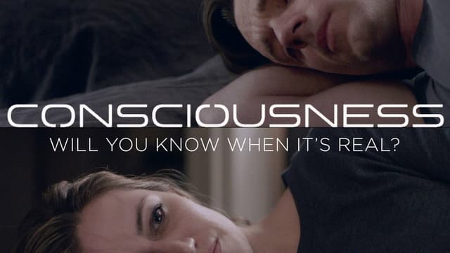 Consciousness