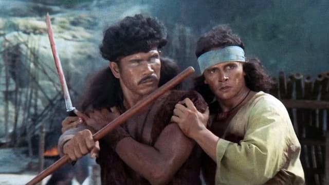 The Warrior and The Blind Swordsman