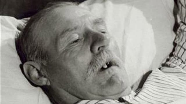 Life and Death in Flanders