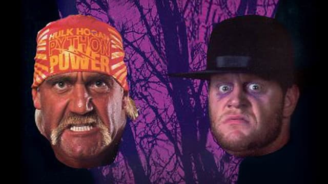 WWE Survivor Series 1991