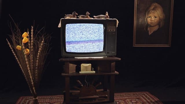Uma História do Espectador de Cinema