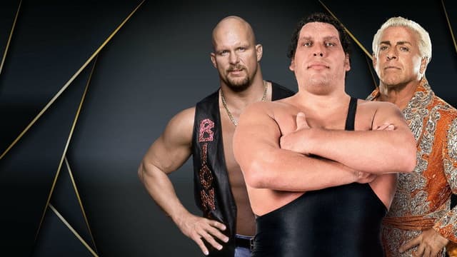 WWE Hall Of Fame 1996
