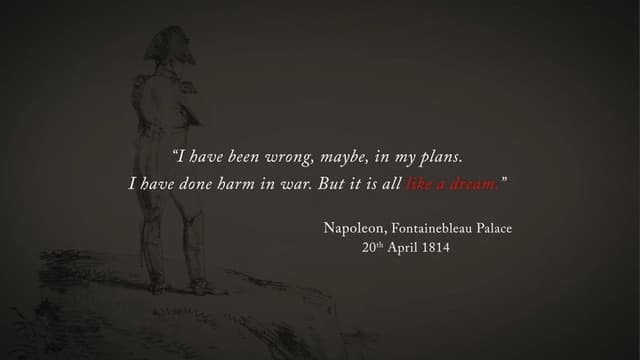 Napoleonic Wars: Battle for France 1814
